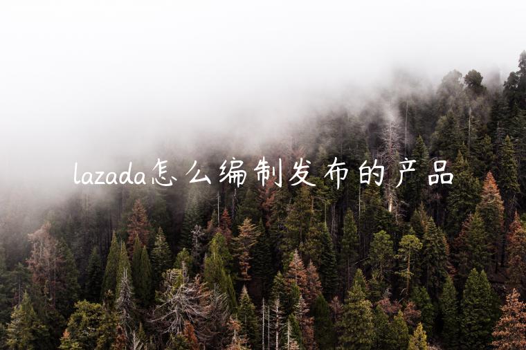 lazada怎么编制发布的产品